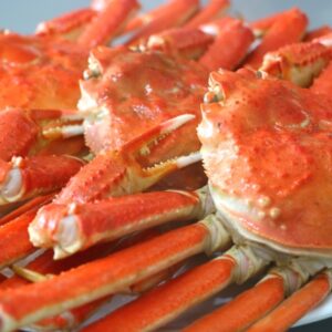 鮮度抜群のタグ付きブランド松葉ガニ!生きたままお届け!!1杯約800g¥27,000