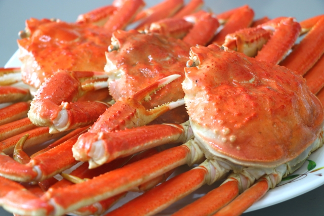 鮮度抜群のタグ付きブランド松葉ガニ!生きたままお届け!!1杯約800g¥27,000